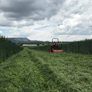 Cover Crop being flail mowed - Healthy Soil grow Healthy Seed Garlic
