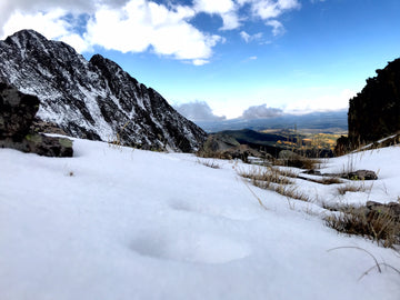 Coyote Tracks in Next Year's Irrigation Water