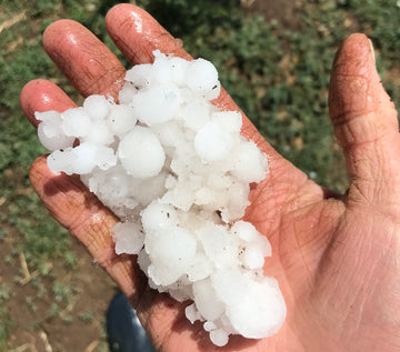 When it Rains it Pours? ... and Hails.