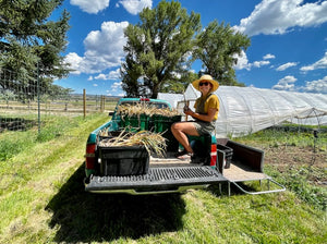 Feels like the Pacific Southwest