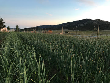 Farming Lesson - Keep an Open Mind