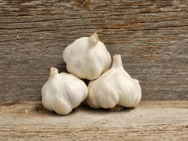 Braiding Garlic Variety Pack