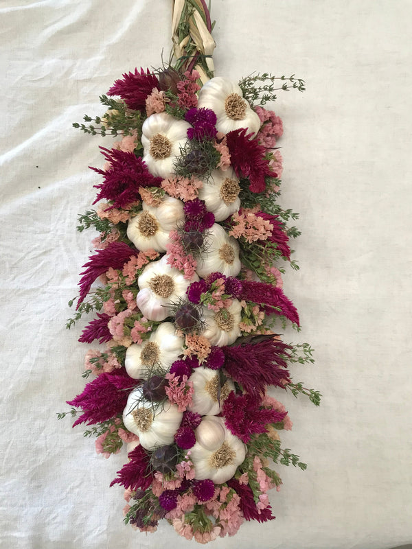 Braiding Garlic Variety Pack