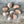 Load image into Gallery viewer, Blossom Seed Garlic