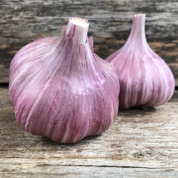 Korean Red Seed Garlic