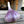 Load image into Gallery viewer, Duganski Seed Garlic