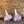 Load image into Gallery viewer, Duganski Seed Garlic
