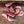 Load image into Gallery viewer, Duganski Seed Garlic