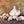Load image into Gallery viewer, Lorz Italian Seed Garlic