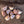 Load image into Gallery viewer, Lorz Italian Seed Garlic