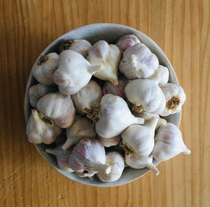 Colorado Culinary Garlic