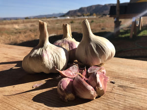 Fall at Sol Vista + Field Prep for Planting Seed Garlic