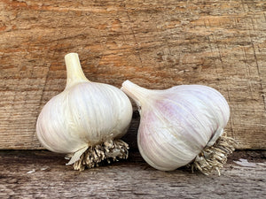 Our 2002 Seed Garlic List is Up!