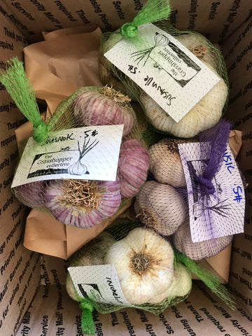 Seed Garlic Garden Variety Pack