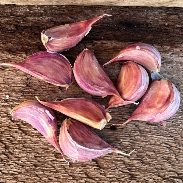Duganski Seed Garlic