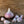 Load image into Gallery viewer, Georgian Crystal Seed Garlic
